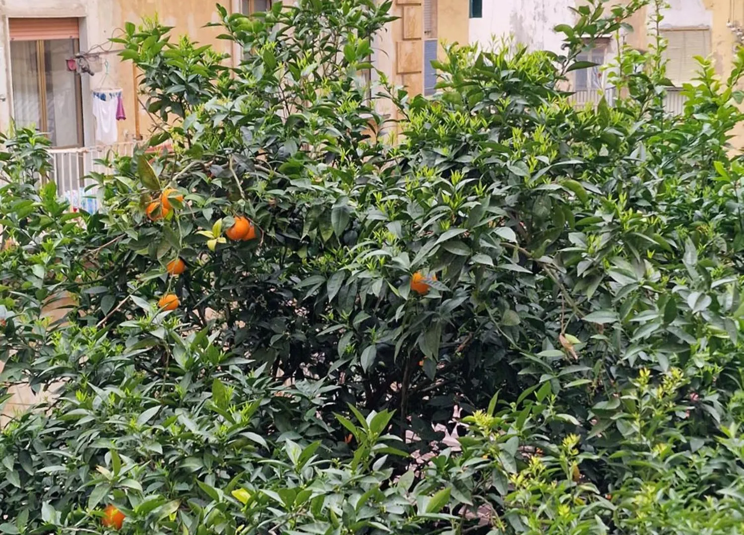 Napoli Connect Guesthouse Guest house Naples