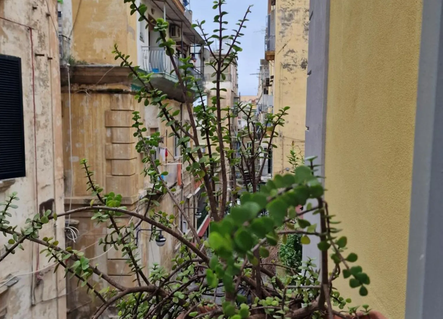 Napoli Connect Guesthouse Naples
